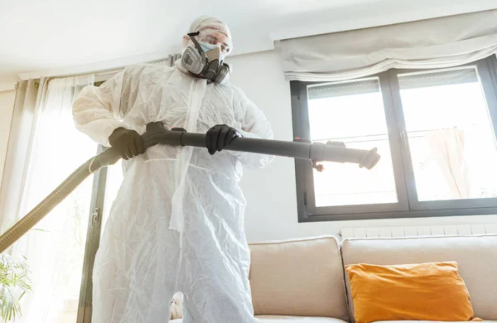 Bed Bug Solutions 3