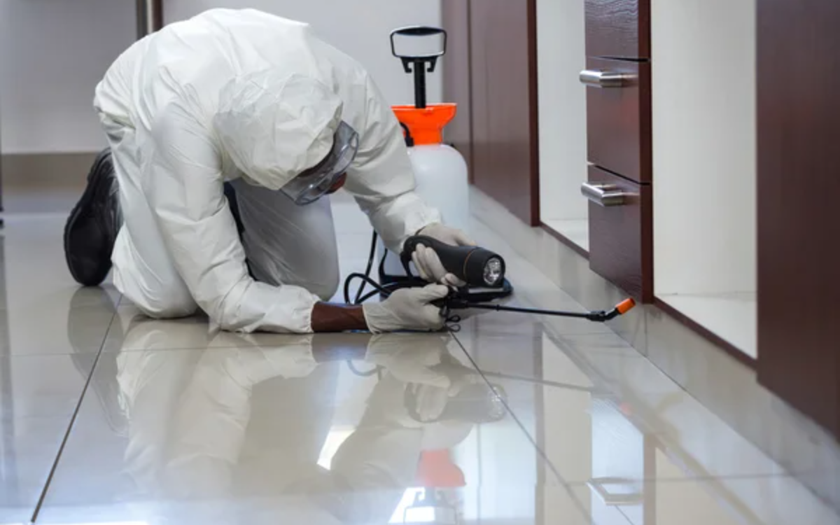 Commercial Pest Control 2
