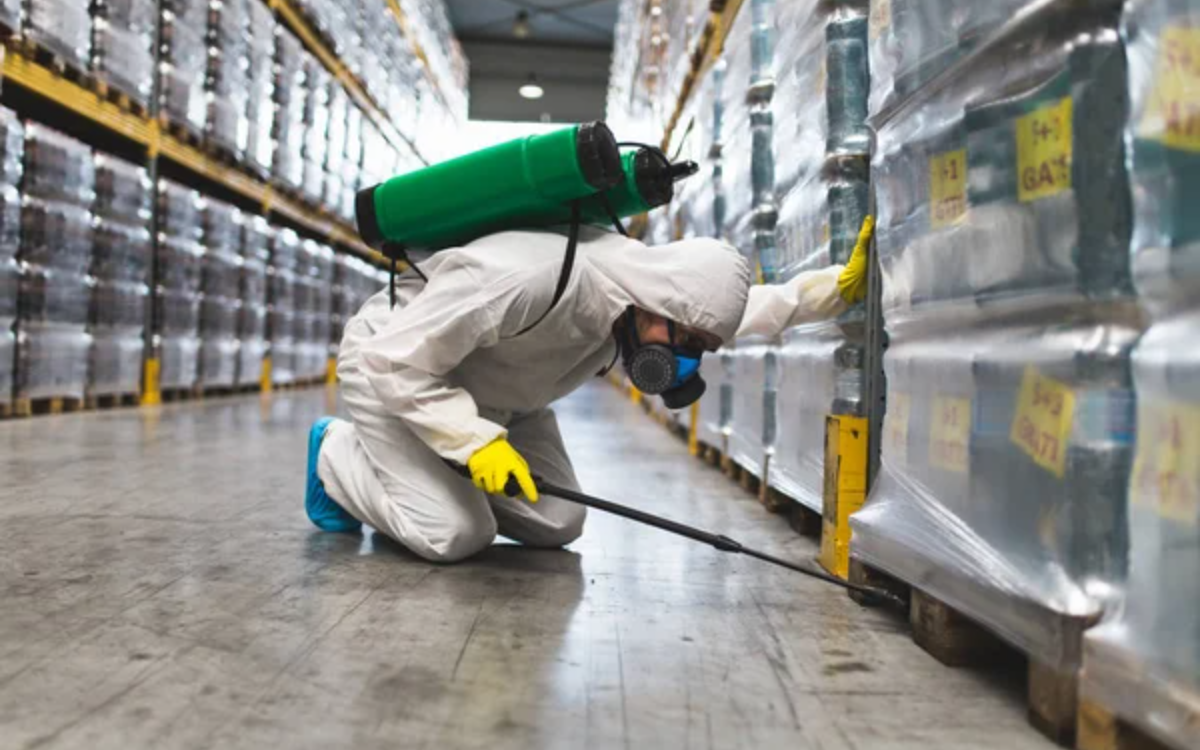 Commercial Pest Control 3