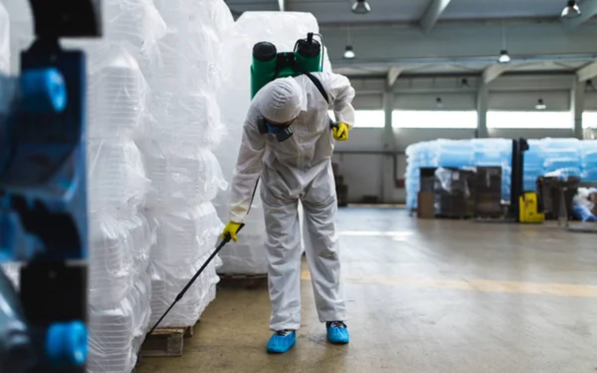 Commercial Pest Control 5