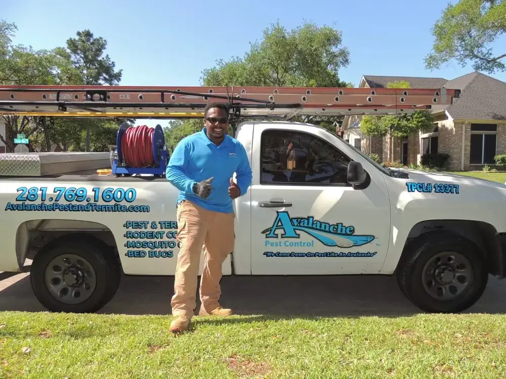 Avalanche Termite & Pest Control in Katy, Tx Avalanche Termite & Pest Control in Katy, Tx