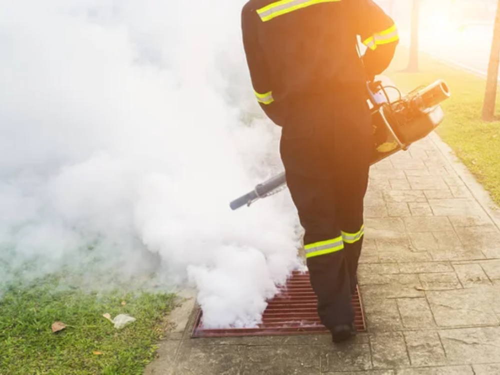Mosquito Control 3