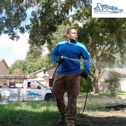 Residential Pest Control