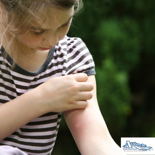 mosquito bites with logo 1
