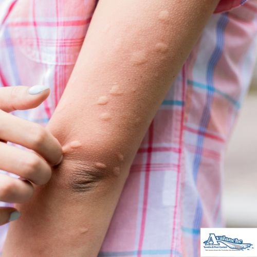mosquito bites with logo