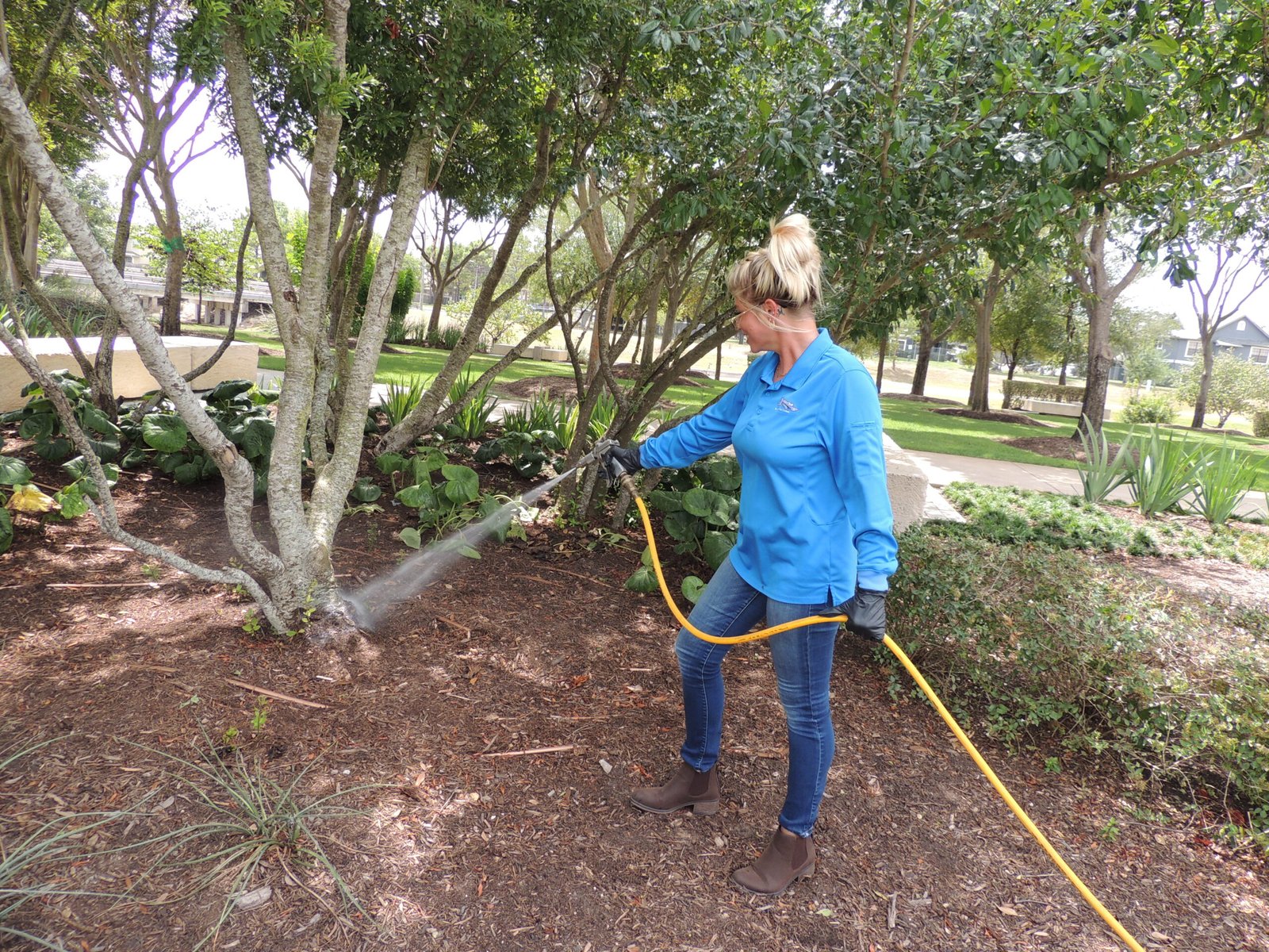 Residential Pest Control