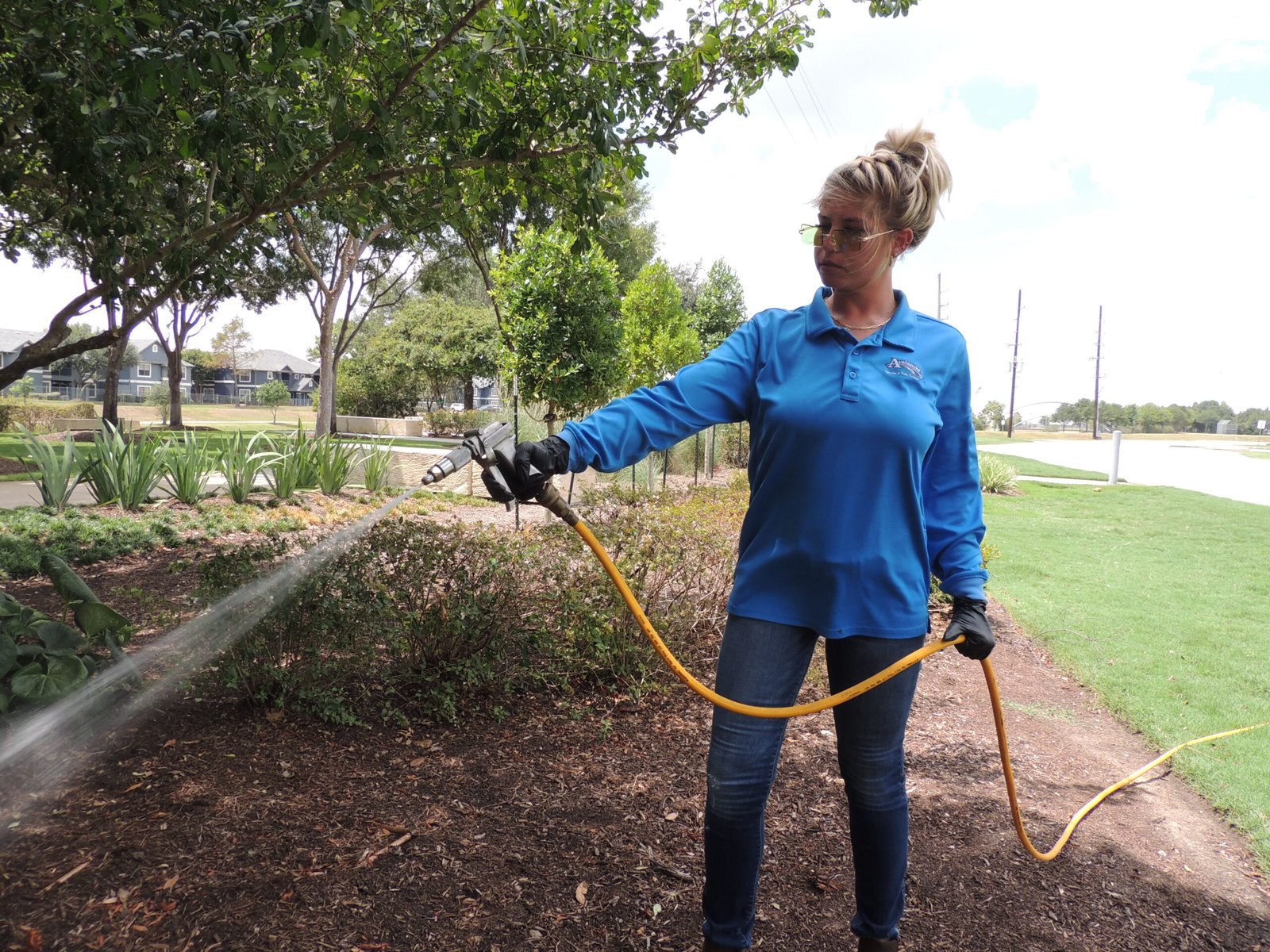 Avalanche Termite & Pest Control in Katy, Tx