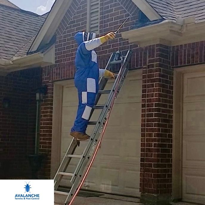 Bee Control