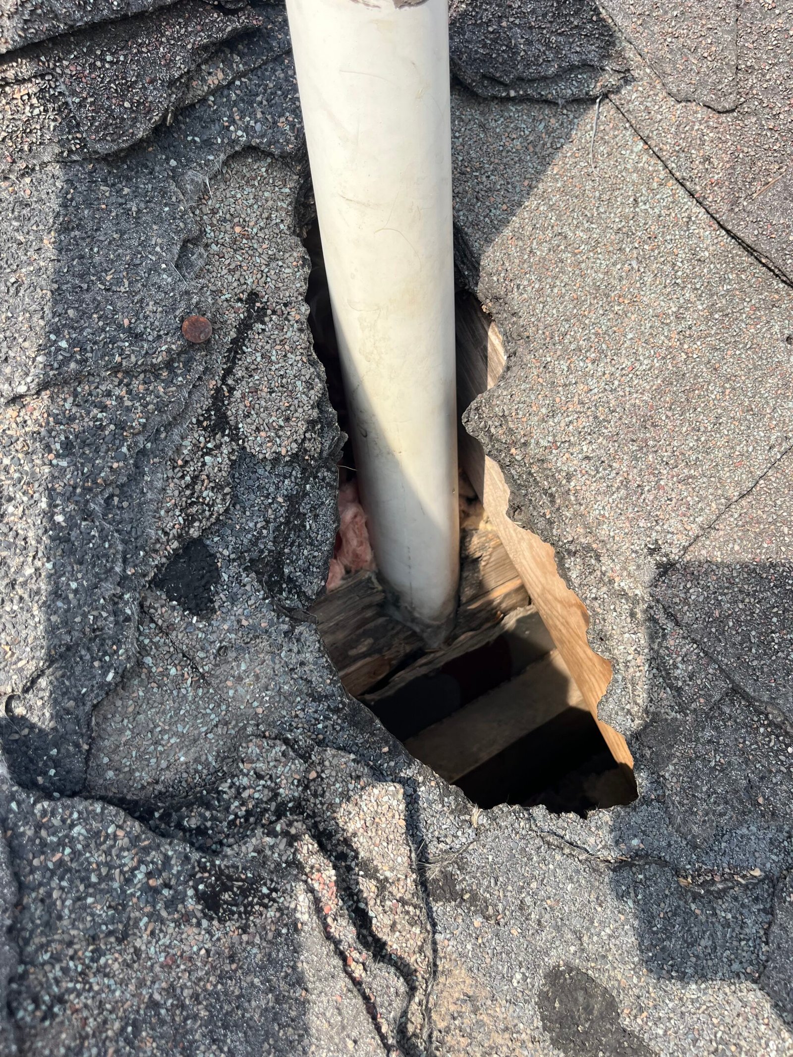 Raccoon damage on roof scaled